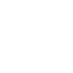 Go Pro